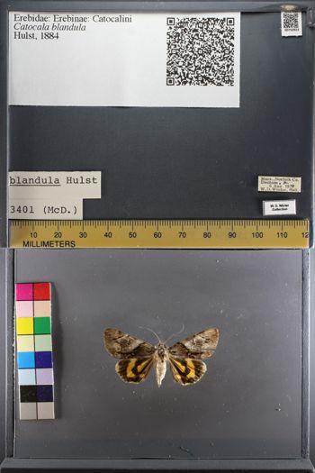 Media type: image;   Entomology 750923